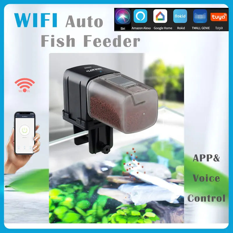 Fishin Automatic Feeding Device